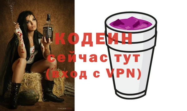 прущий лед Няндома