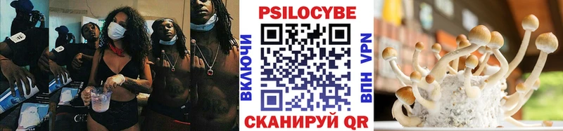 Галлюциногенные грибы мицелий  Химки 