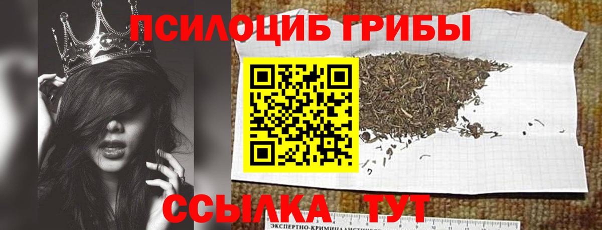 Псилоцибиновые грибы Psilocybe  Вход с VPN  Химки  Галлюциногенные грибы Cubensis 