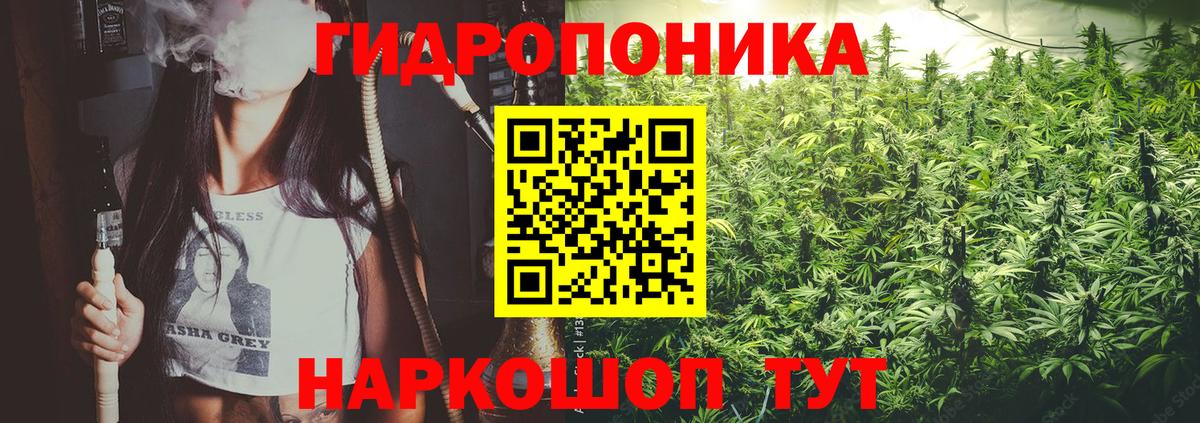 Марихуана план  МАРИХУАНА сатива  Канабис планчик  Химки  Вход с VPN 